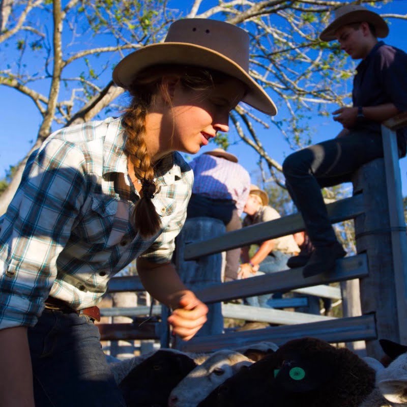 Training Boerderijwerk Australie