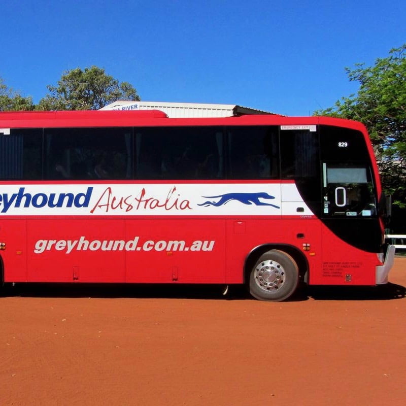 Greyhound Bus