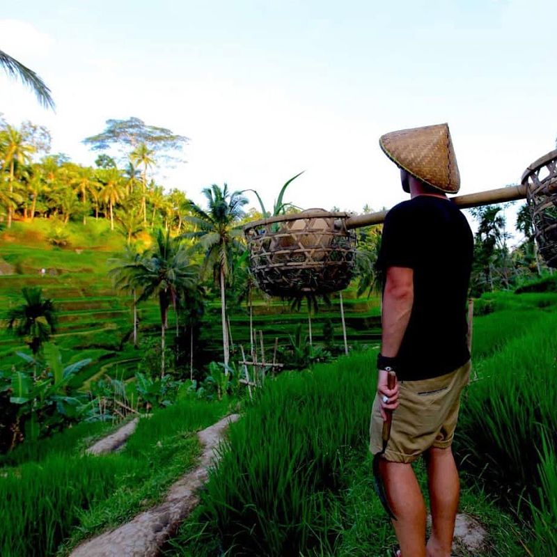 Rijstvelden Bali & Beyond